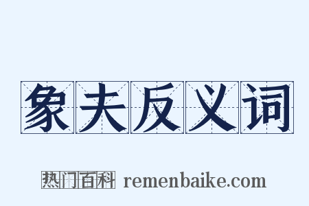 象夫反义词是什么意思的图片
